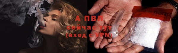 ECSTASY Тайга