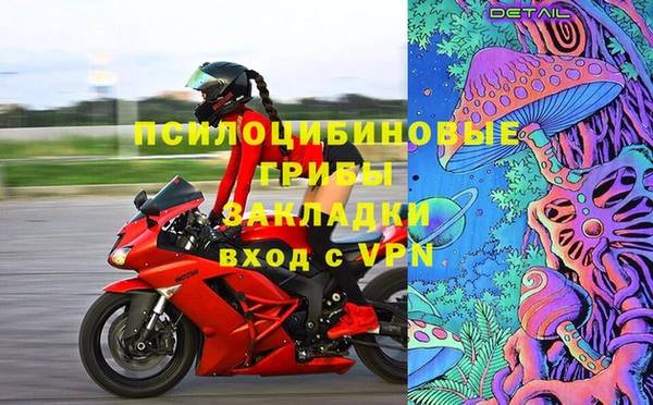 амф Тавда