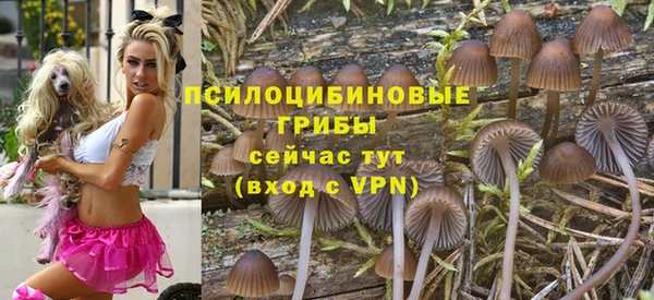 шишки Сясьстрой