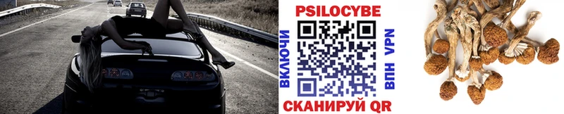 Галлюциногенные грибы Cubensis  где продают   Подпорожье 